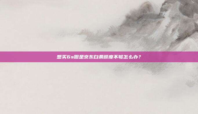想买6s但是京东白条额度不够怎么办?