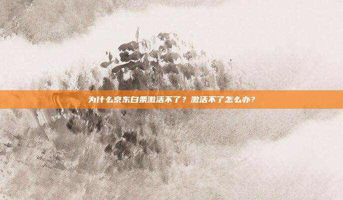 为什么京东白条激活不了?激活不了怎么办?