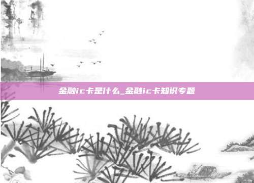 金融ic卡是什么_金融ic卡知识专题