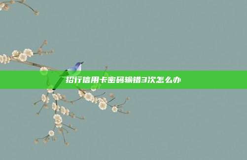 招行信用卡密码输错3次怎么办