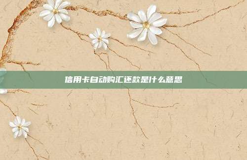信用卡自动购汇还款是什么意思