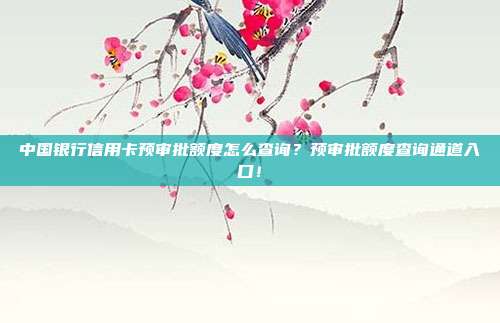 中国银行信用卡预审批额度怎么查询?预审批额度查询通道入口!