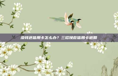 没钱还信用卡怎么办?三招挽救信用卡逾期