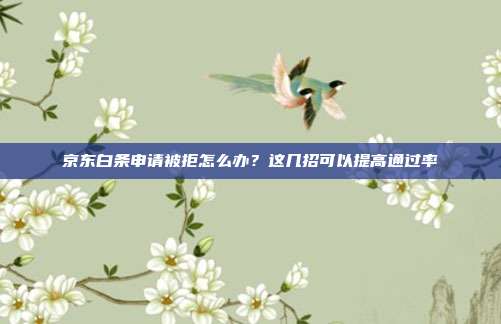京东白条申请被拒怎么办?这几招可以提高通过率