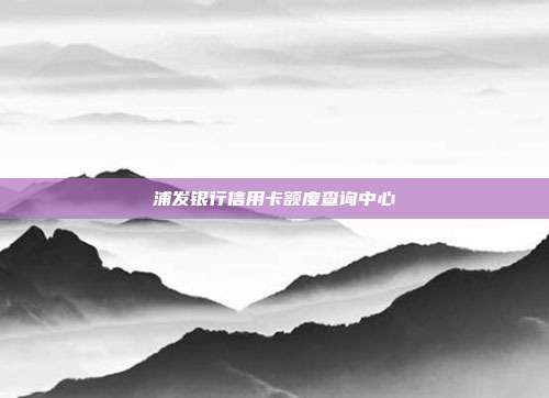 浦发银行信用卡额度查询中心