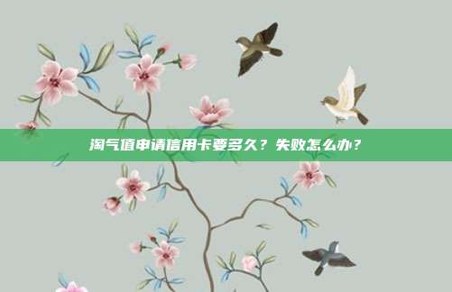 淘气值申请信用卡要多久?失败怎么办?