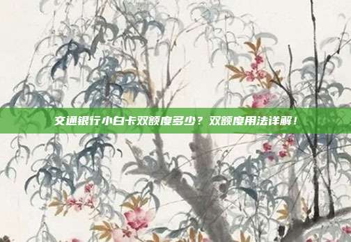 交通银行小白卡双额度多少?双额度用法详解!