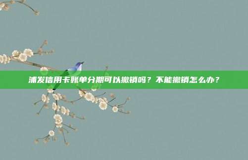 浦发信用卡账单分期可以撤销吗?不能撤销怎么办?