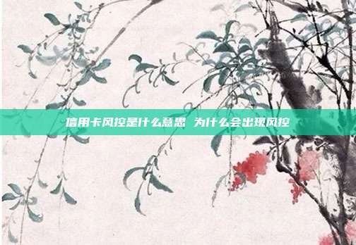 信用卡风控是什么意思 为什么会出现风控