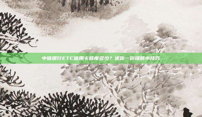 中信银行ETC信用卡额度多少?送你一份提额小技巧