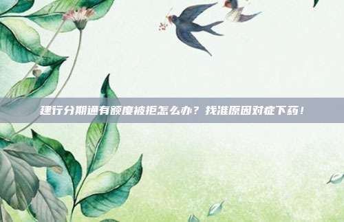 建行分期通有额度被拒怎么办?找准原因对症下药!