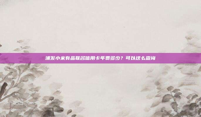 浦发小米有品联名信用卡年费多少?可以这么查询