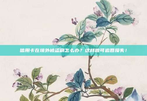 信用卡在境外被盗刷怎么办?这样做可追回损失!