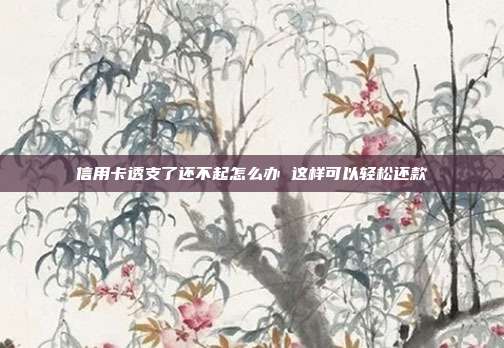 信用卡透支了还不起怎么办 这样可以轻松还款