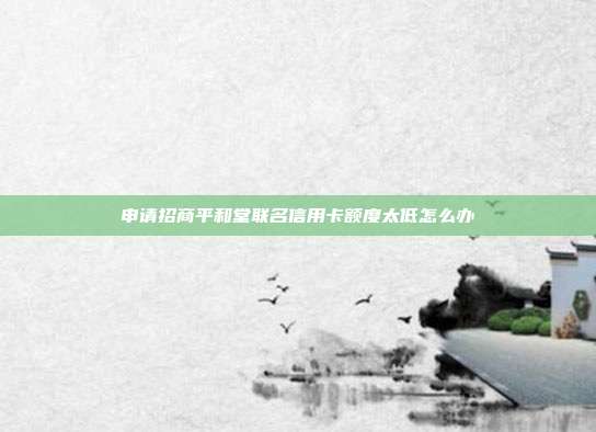 申请招商平和堂联名信用卡额度太低怎么办