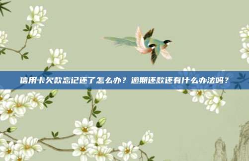信用卡欠款忘记还了怎么办?逾期还款还有什么办法吗?