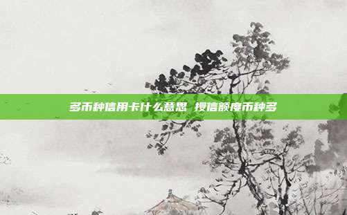 多币种信用卡什么意思 授信额度币种多
