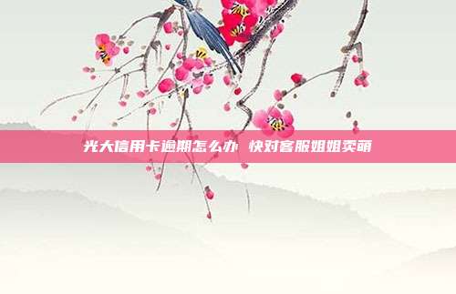 光大信用卡逾期怎么办 快对客服姐姐卖萌