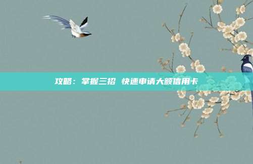 攻略:掌握三招 快速申请大额信用卡