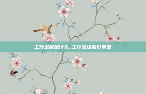 工行星级是什么_工行星级知识专题