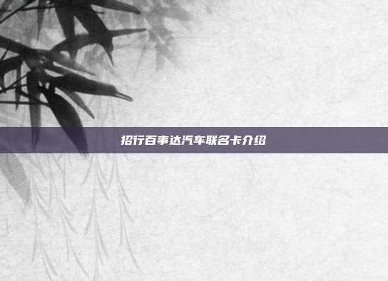 招行百事达汽车联名卡介绍