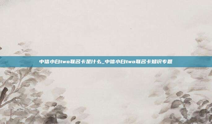 中信小白two联名卡是什么_中信小白two联名卡知识专题