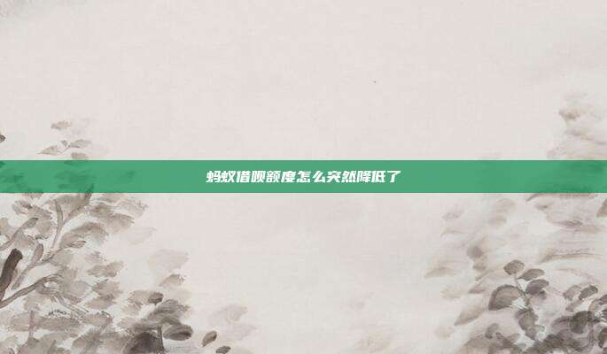 蚂蚁借呗额度怎么突然降低了