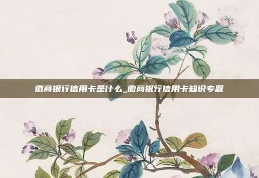 徽商银行信用卡是什么_徽商银行信用卡知识专题