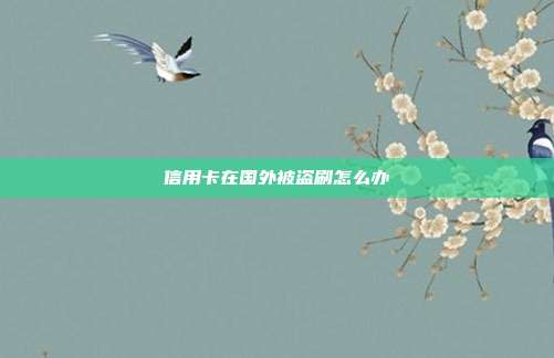 信用卡在国外被盗刷怎么办