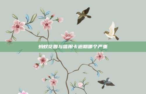 蚂蚁花呗与信用卡逾期哪个严重
