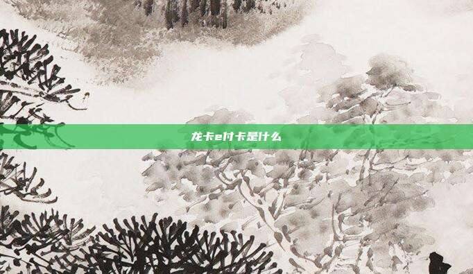 龙卡e付卡是什么