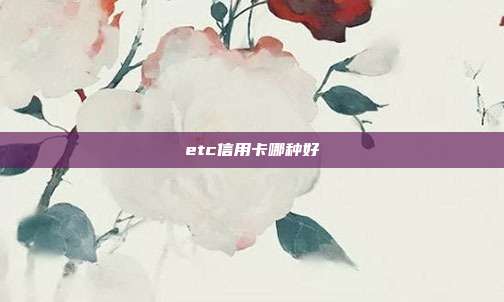 etc信用卡哪种好