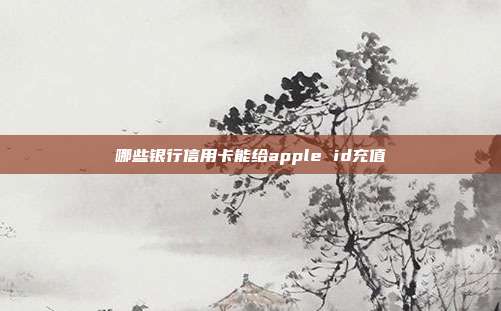 哪些银行信用卡能给apple id充值