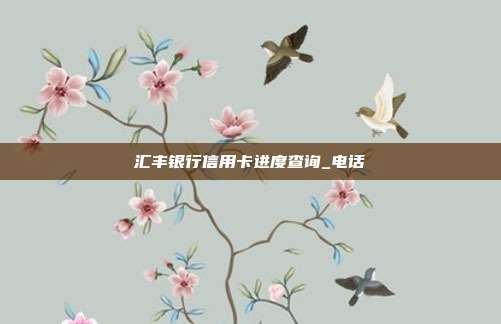 汇丰银行信用卡进度查询_电话