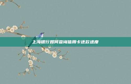 上海银行如何查询信用卡还款进度
