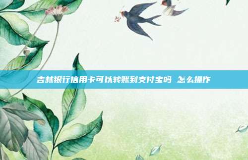 吉林银行信用卡可以转账到支付宝吗 怎么操作