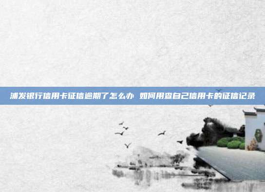 浦发银行信用卡征信逾期了怎么办 如何用查自己信用卡的征信记录