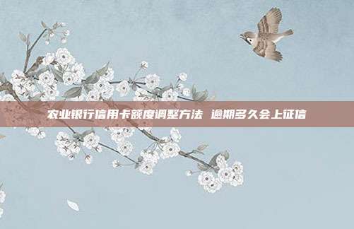农业银行信用卡额度调整方法 逾期多久会上征信