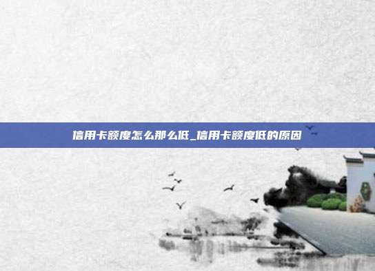 信用卡额度怎么那么低_信用卡额度低的原因