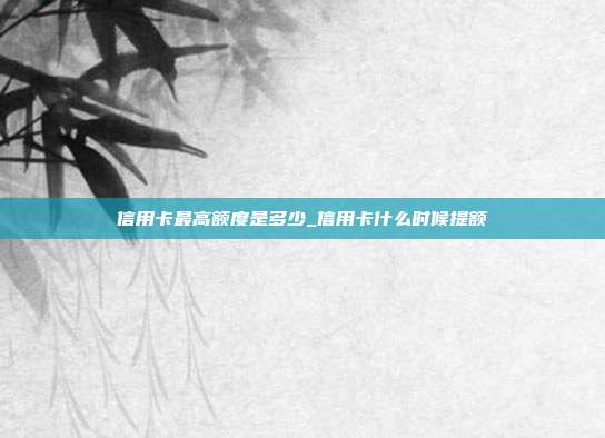 信用卡最高额度是多少_信用卡什么时候提额