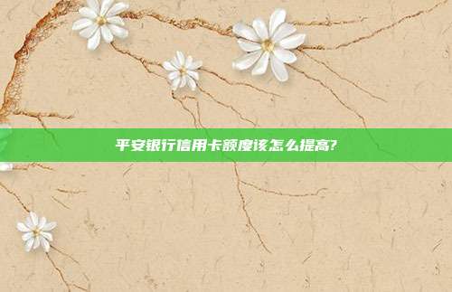 平安银行信用卡额度该怎么提高?