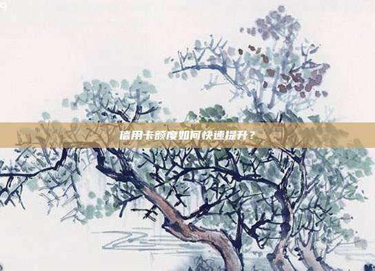 信用卡额度如何快速提升?