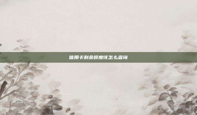 信用卡剩余额度该怎么查询