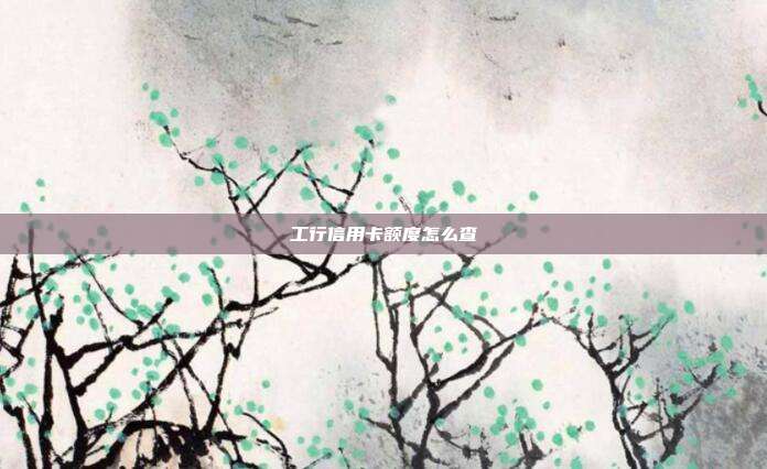 工行信用卡额度怎么查