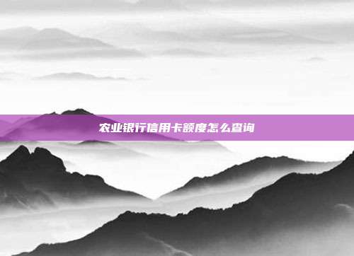 农业银行信用卡额度怎么查询