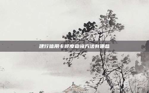 建行信用卡额度查询方法有哪些