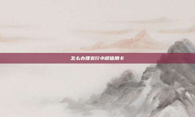 怎么办理农行小额信用卡