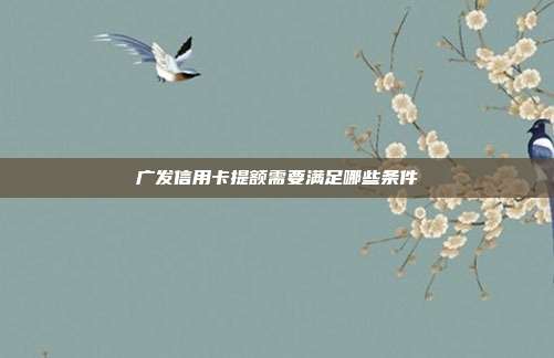广发信用卡提额需要满足哪些条件