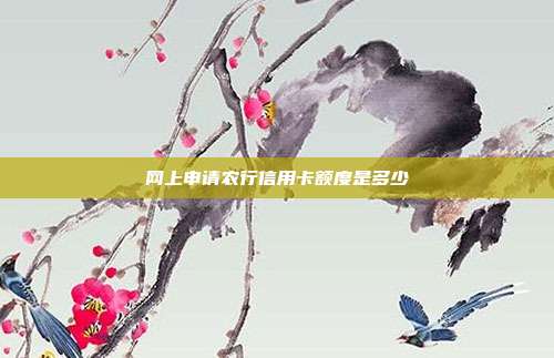 网上申请农行信用卡额度是多少