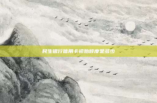 民生银行信用卡初始额度是多少